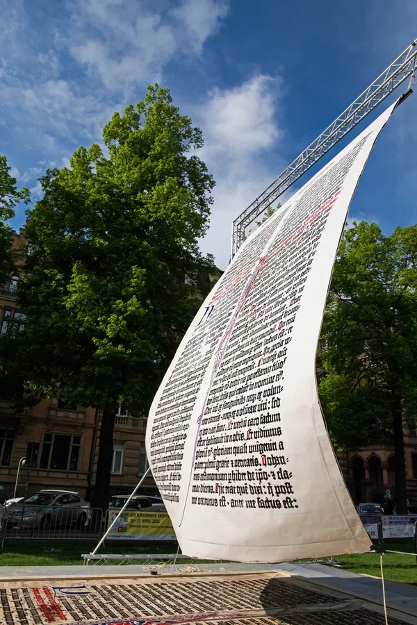 IMGP1656.webp