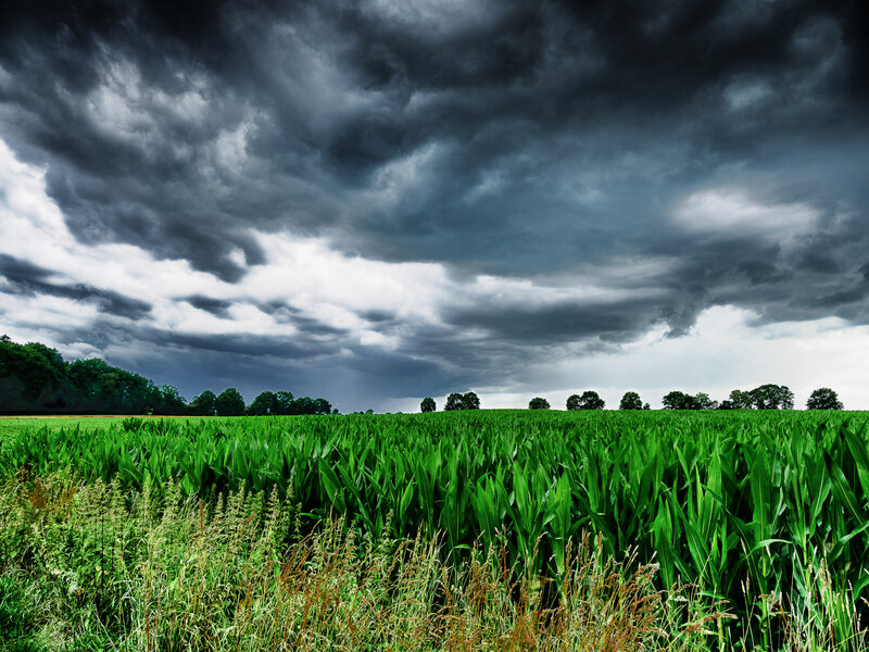 Bremervörde 2024-4-Bearbeitet-2.jpg Bremervörde 2024-4-Bearbeitet-2.jpg