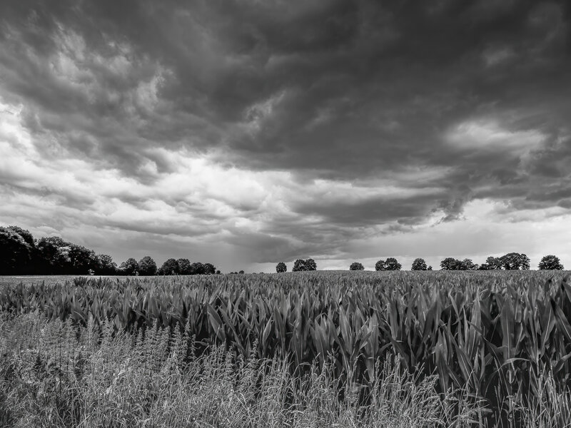 Bremervörde 2024-4-Bearbeitet-Bearbeitet.jpg Bremervörde 2024-4-Bearbeitet-Bearbeitet.jpg