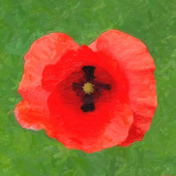 MühnblüteRotSOLOGERADELUX8QUADRATArtwork.webp