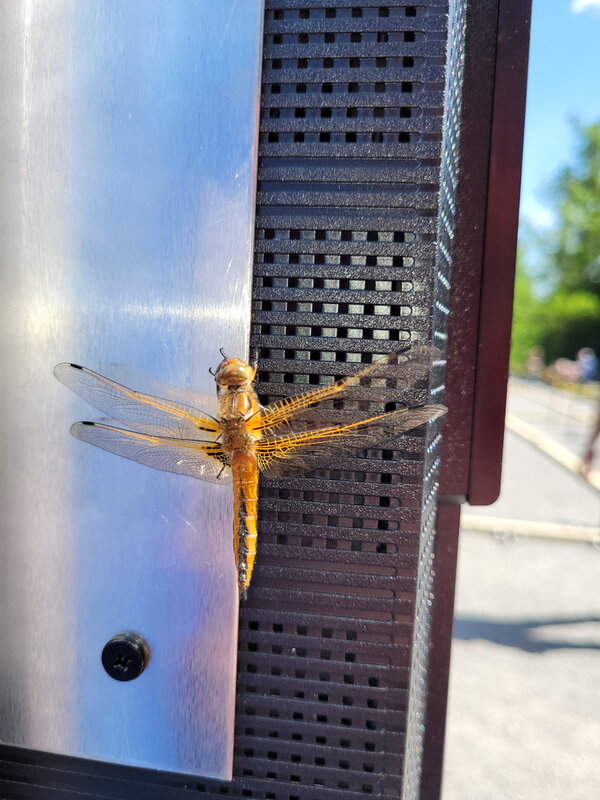 25-05-24 15-54_IMG_0002.jpg