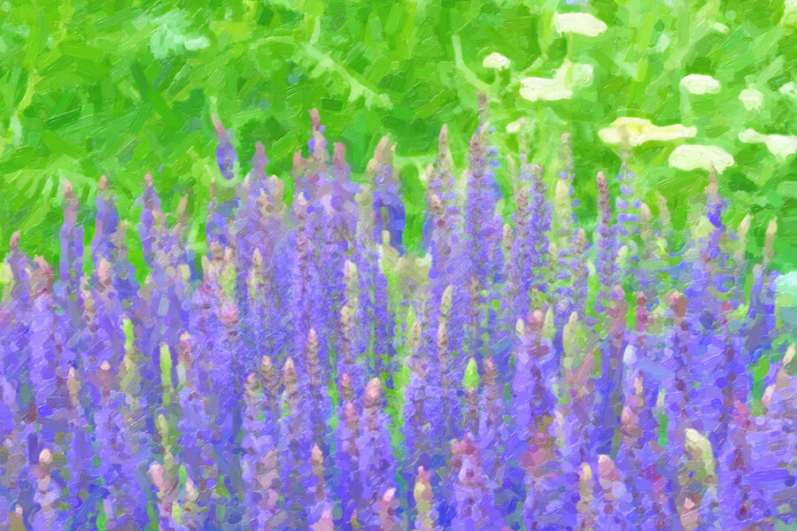BlaueKerzenblumenmgrünenPflanzenHGEINSV5FINFINFINARTWORK.jpg