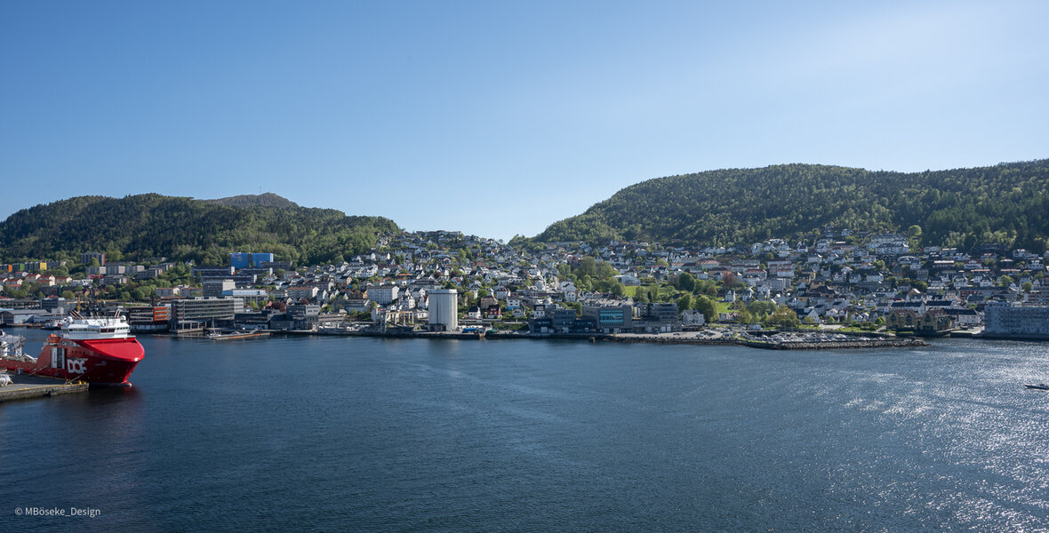 NZ8_2333a.jpg