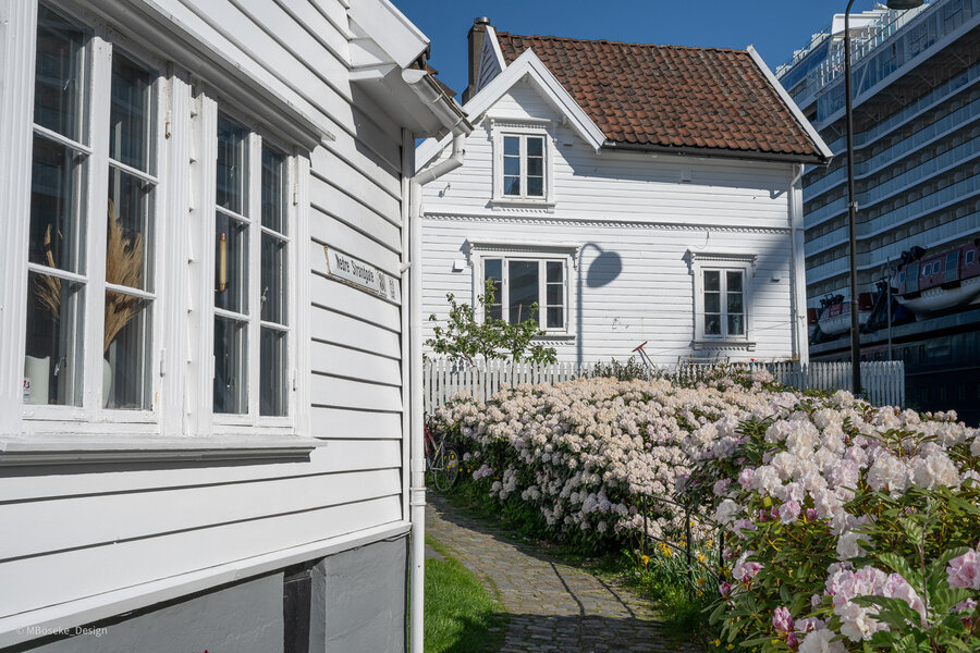 NZ8_2395a.jpg
