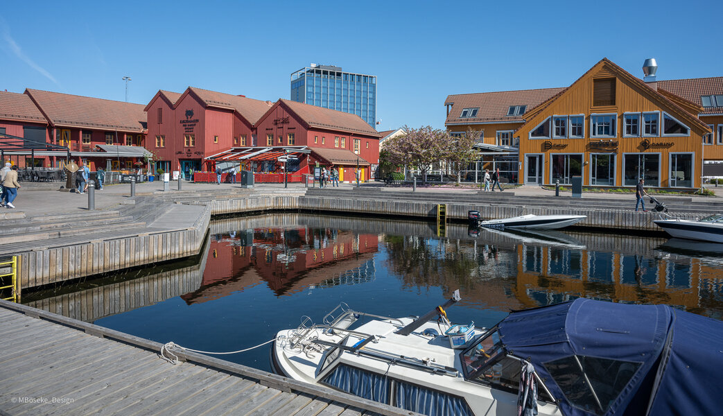 NZ8_2528a.jpg