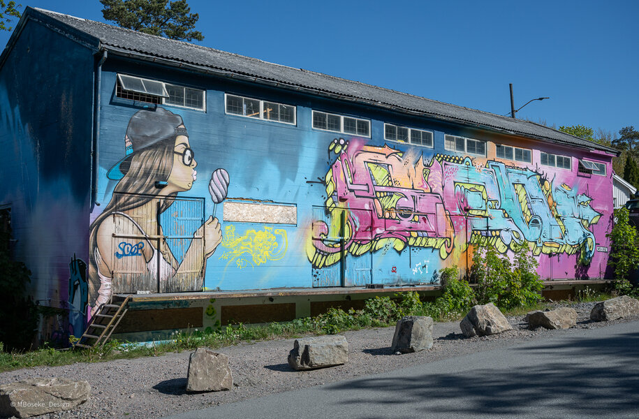 NZ8_2540a.jpg