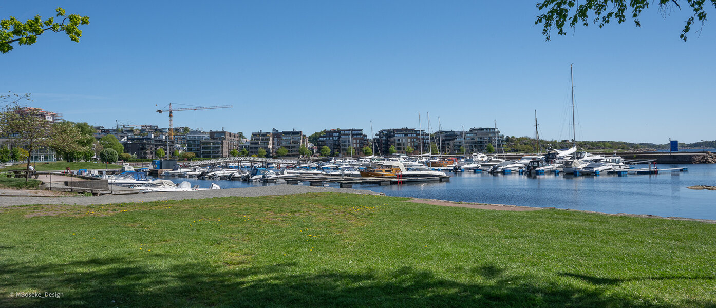 NZ8_2570a.jpg