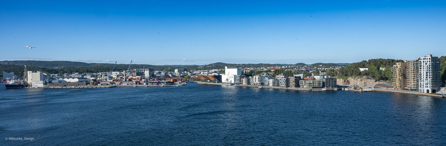 NZ8_2600a.jpg