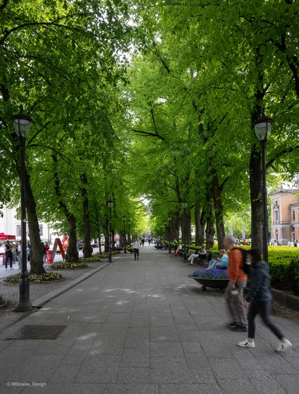 NZ8_2665a.webp