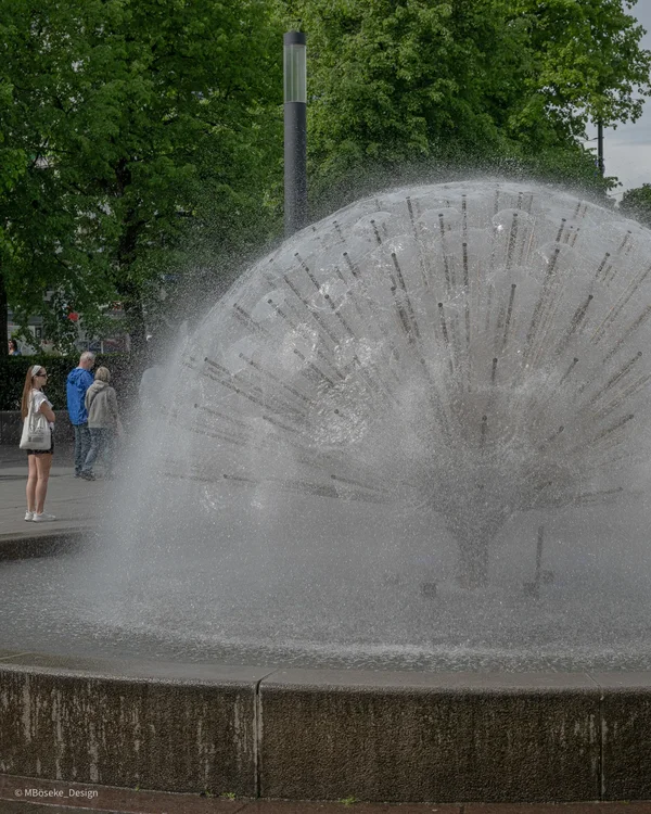 NZ8_2666a.webp