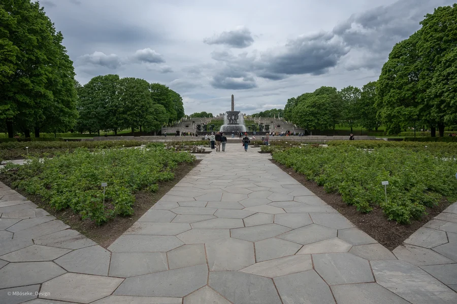 NZ8_2688a.webp