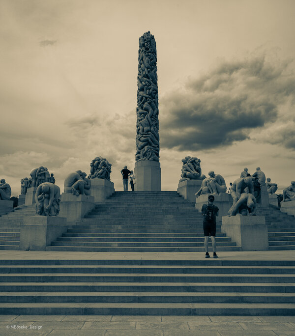NZ8_2700a.jpg