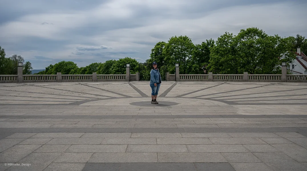 NZ8_2711a.webp