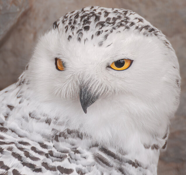 1209_Zoo Antwerpen_098-Bearbeitet.jpg