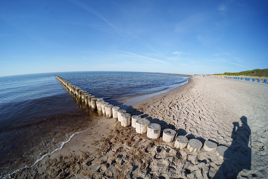 ci_A7405542.jpg