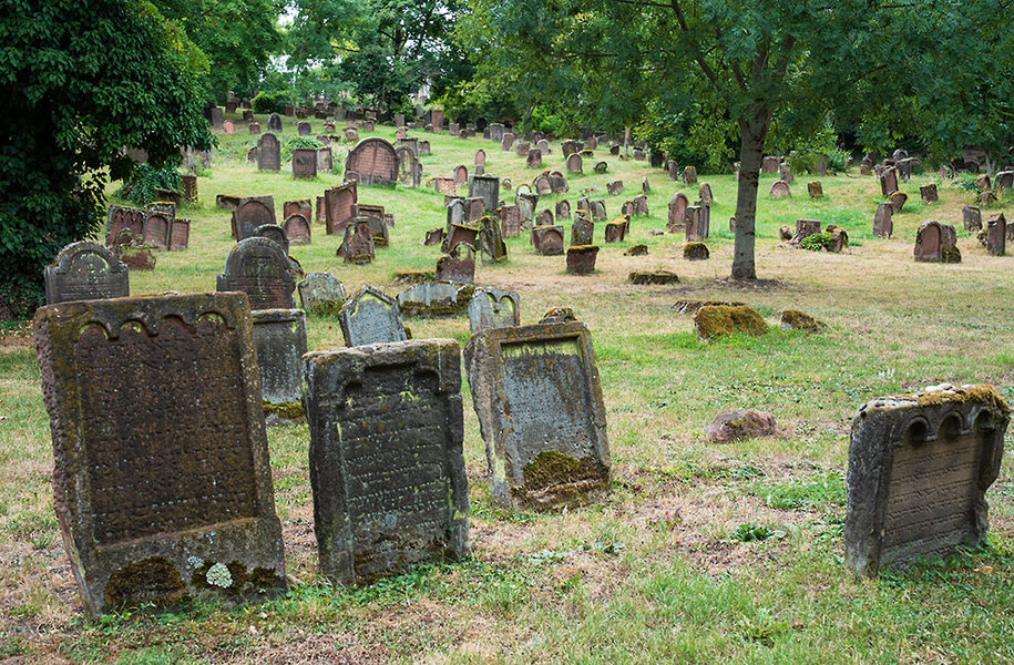 ci_A7408867.jpg