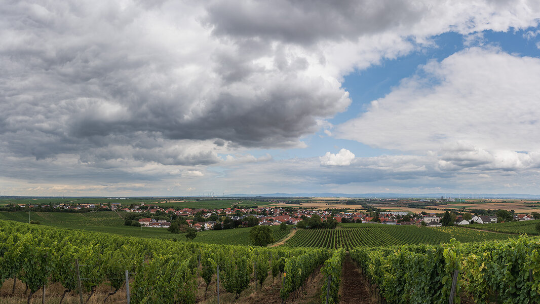 A7408879-85_Panorama.jpg