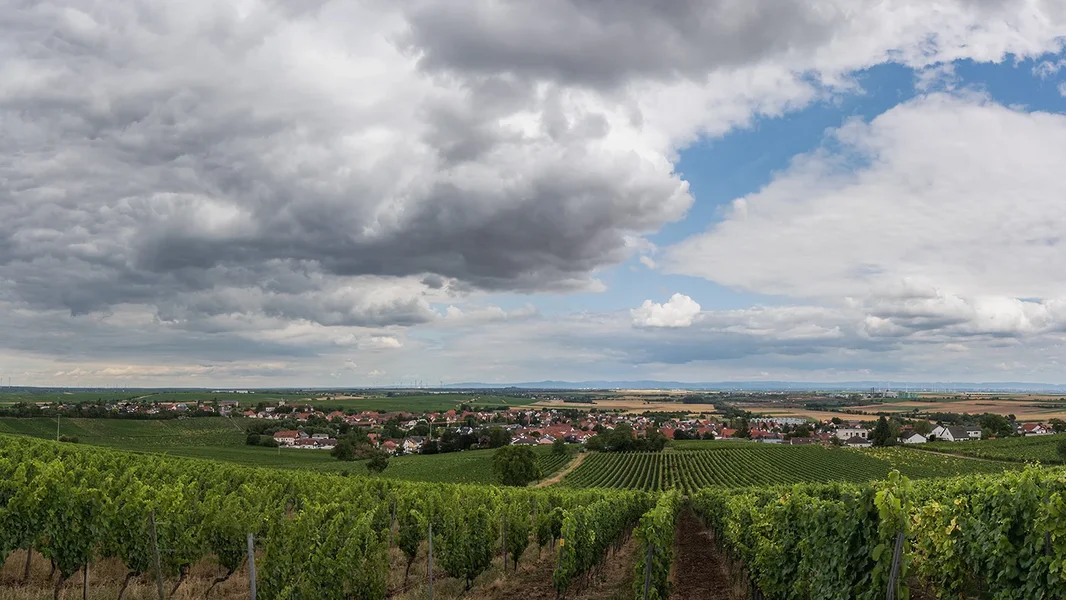A7408879-85_Panorama.webp