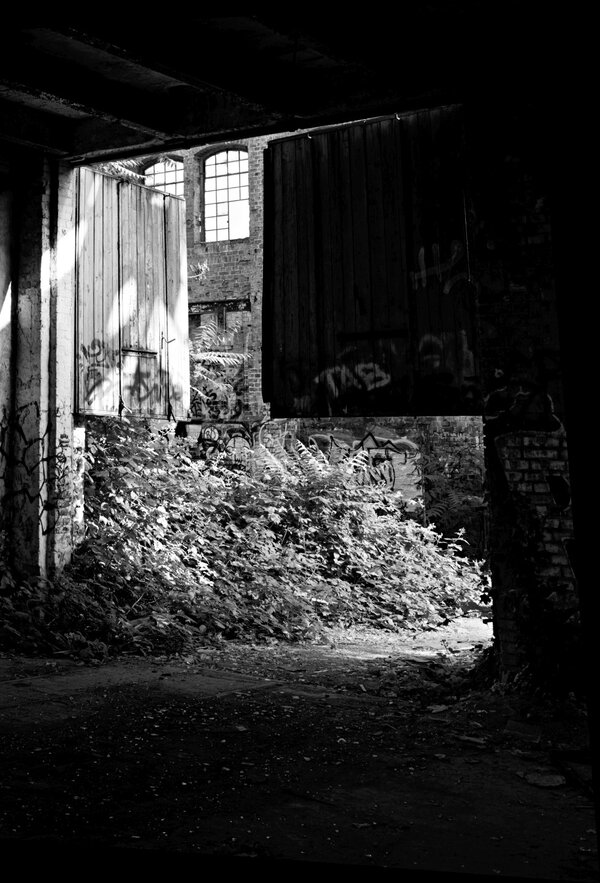 File056.jpg File056.jpg