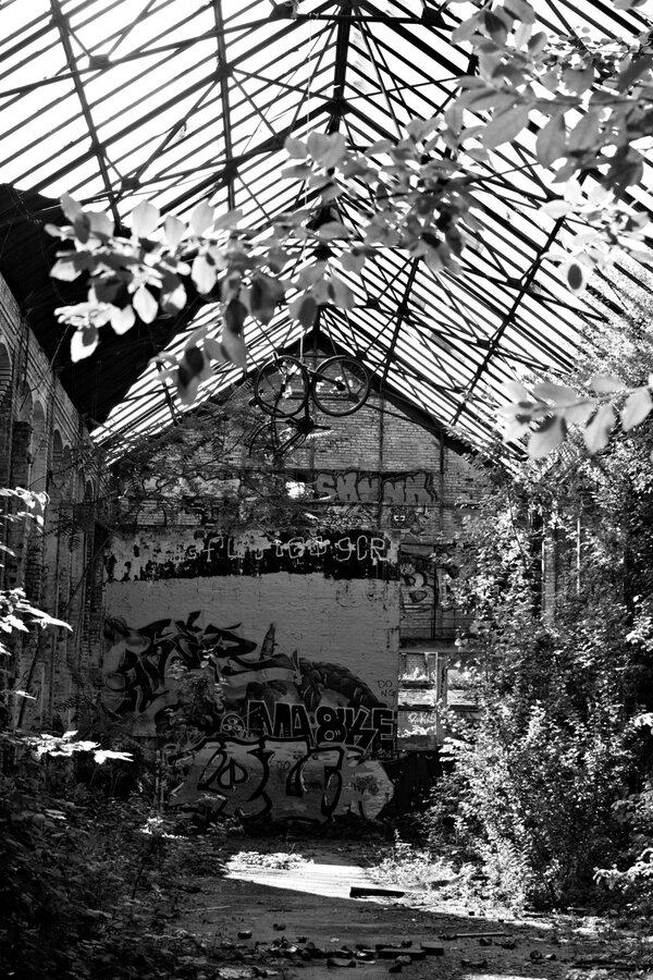 File039.jpg File039.jpg