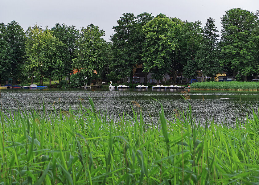 IMGP2413_DxO.jpg