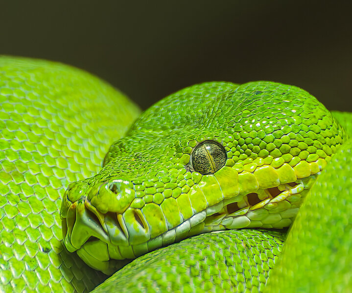 1304_Berlin April 2013_397_DxO-Bearbeitet.jpg