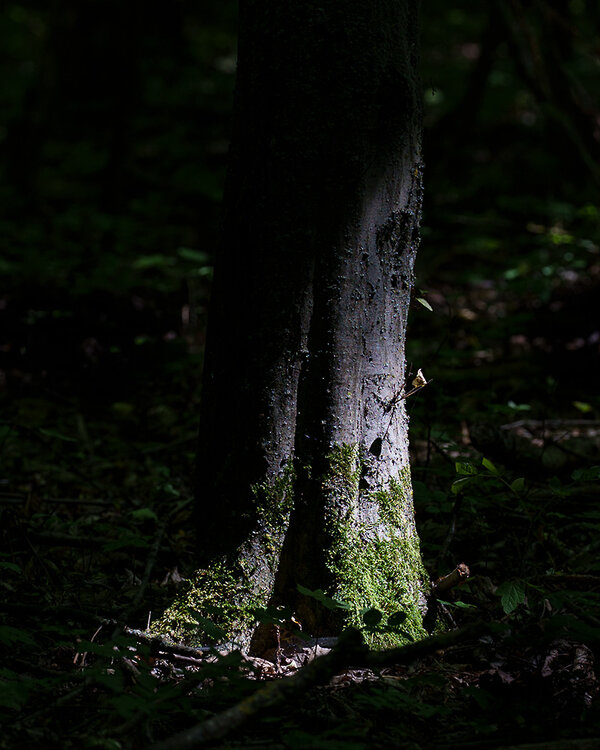 ci_A7409700.jpg
