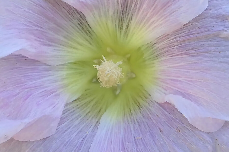 RoseWeissNURZENTRUMV5.jpg