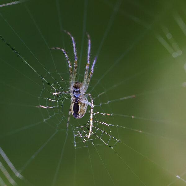 ci_A7400730.jpg