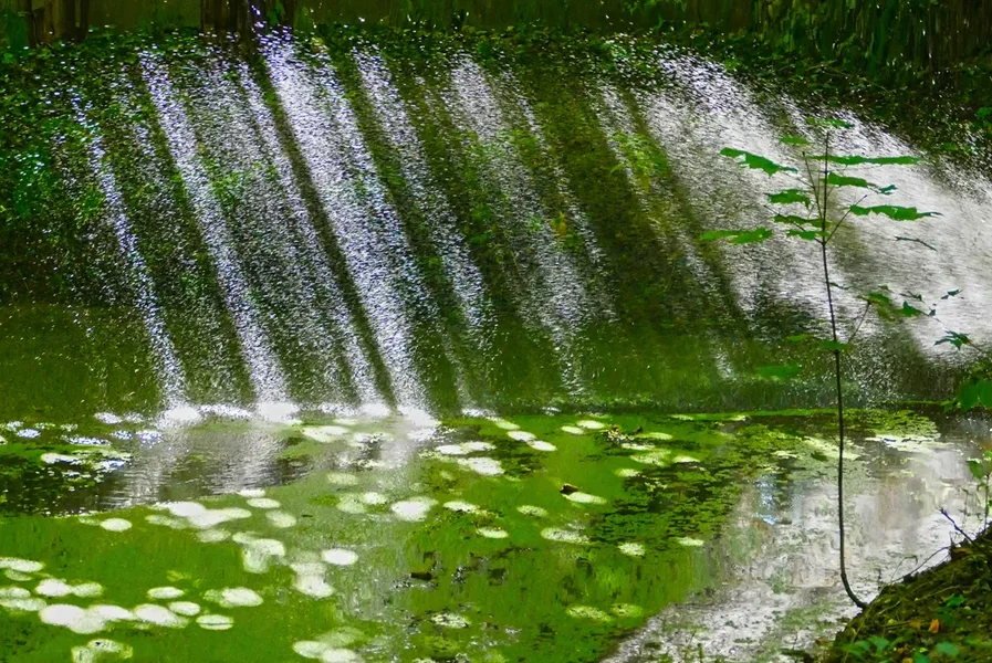 KünstlicherRegeninTeichmVGV5HDR.webp