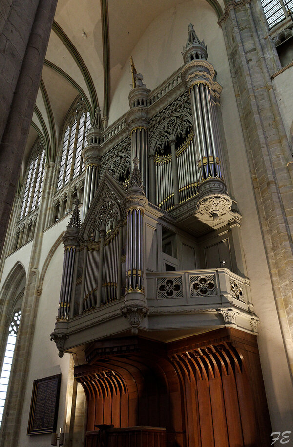 IMGP3784_DxO.jpg