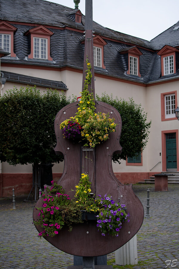 IMGP5108_DxO.jpg