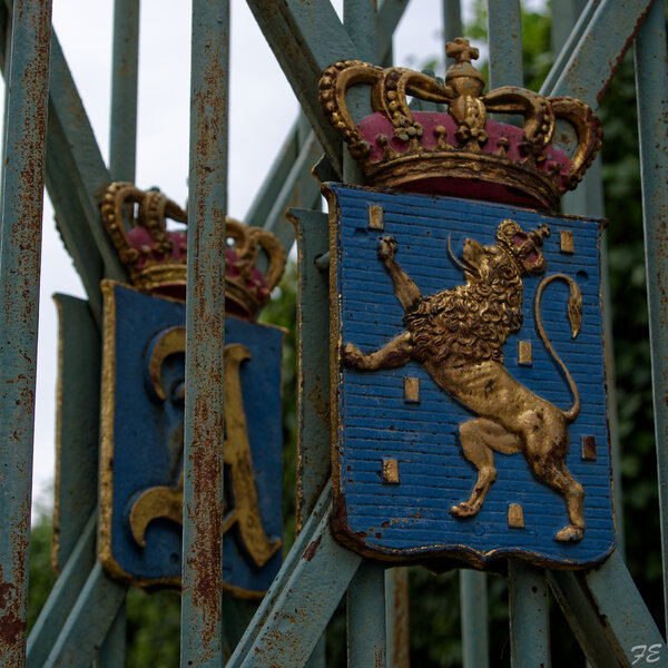 IMGP5110_DxO.jpg