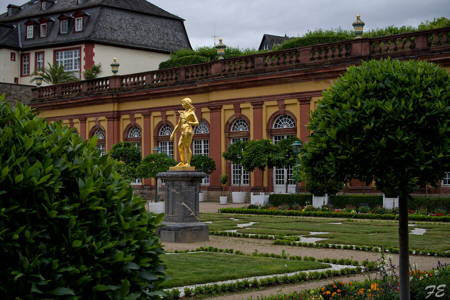 IMGP5122_DxO.jpg