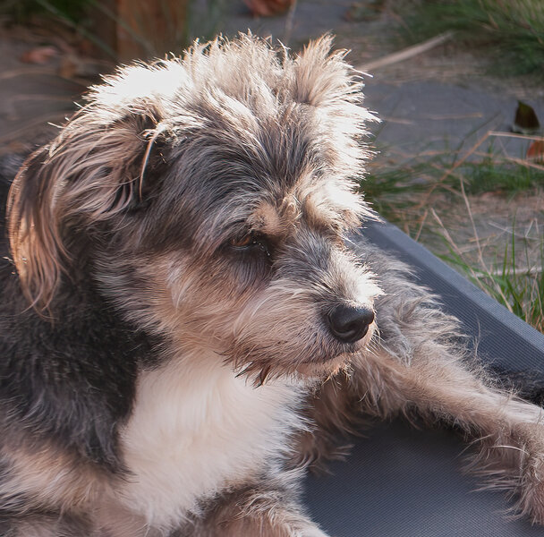 D 300-13-Bearbeitet.jpg