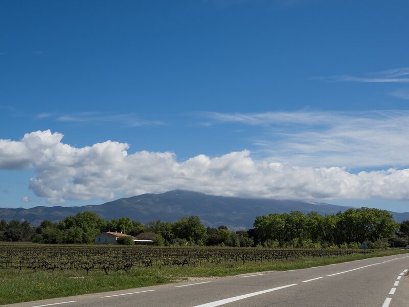 P4210264.jpg