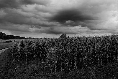 (c)MFocks_08-19BergLand10_sw.jpg