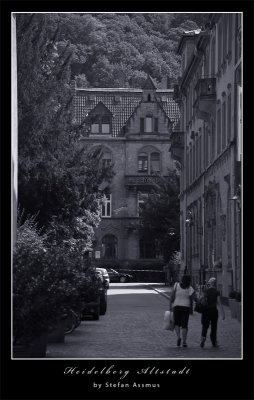 Heidelberg Altstadt 001 D3 SW Forum.jpg