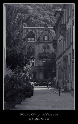 Heidelberg Altstadt 001 F5 SW Forum.jpg