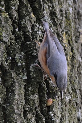_DSC7880.jpg _DSC7880.jpg