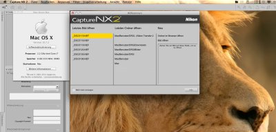 CNX2_Lion.jpg
