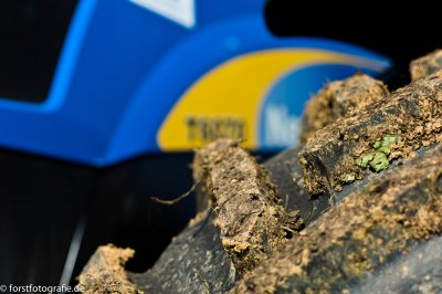 20111016-HOFL1004375.jpg