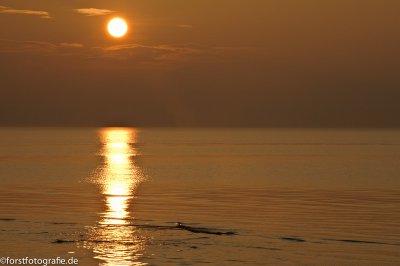 20111102-_HOF7695.jpg 20111102-_HOF7695.jpg