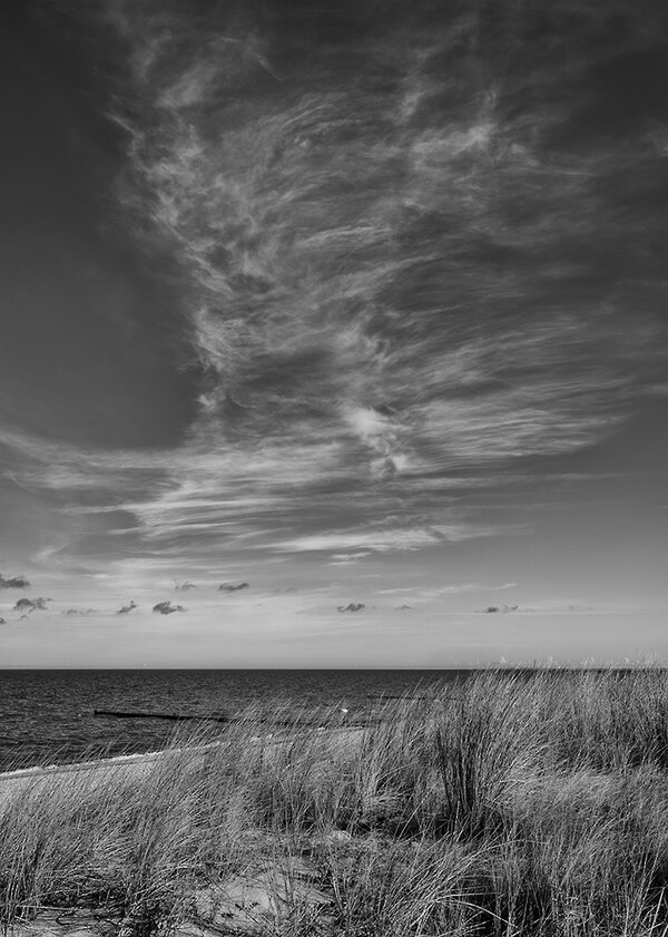 ci_A7401995_sep.jpg