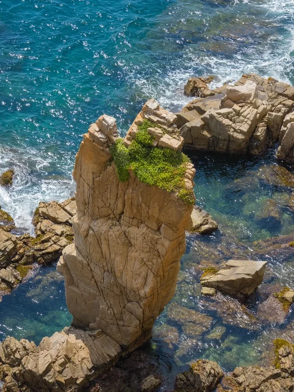 P4280526.webp