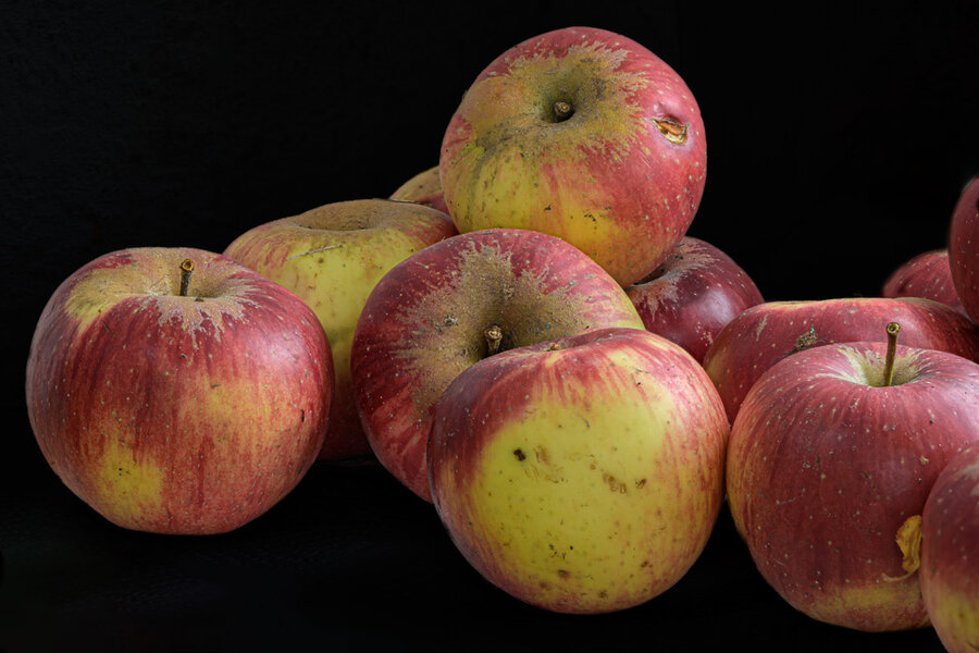 Äpfel DSC_0086.jpg