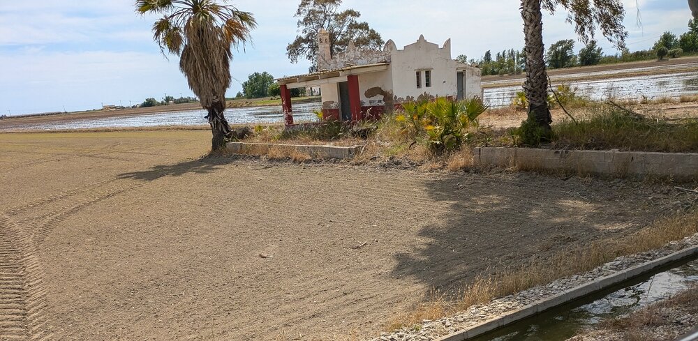 PXL_20250507_132509213 - Kopie.jpg