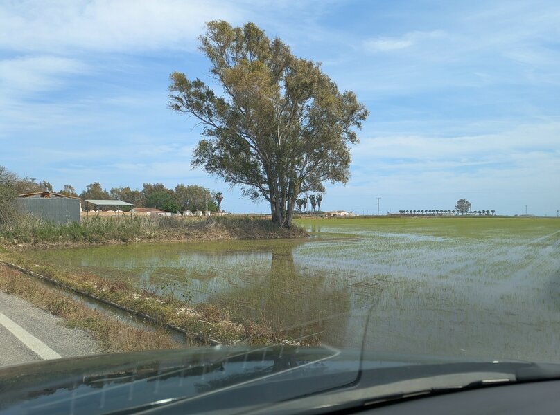 PXL_20250507_132555044 - Kopie.jpg