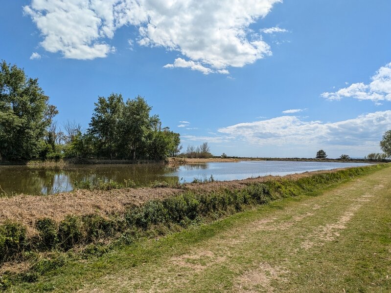 PXL_20250506_132807127 - Kopie - Kopie.jpg