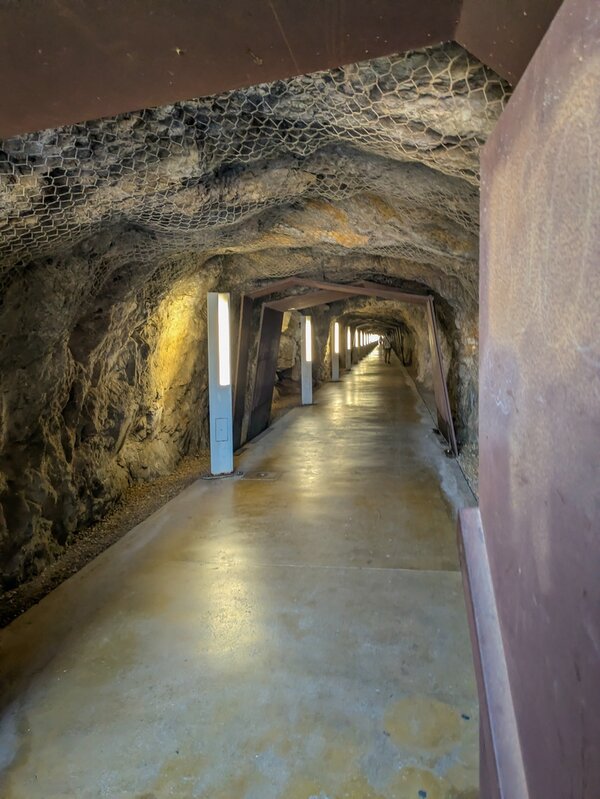 PXL_20250522_101220645.jpg PXL_20250522_101220645.jpg